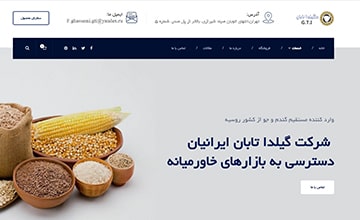 نمونه طراحی سایت